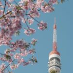 Where to Stay in Tokyo